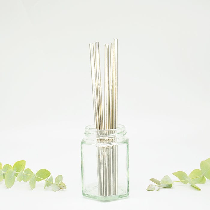 Reusable Stainless Steel Straight Straw - Single