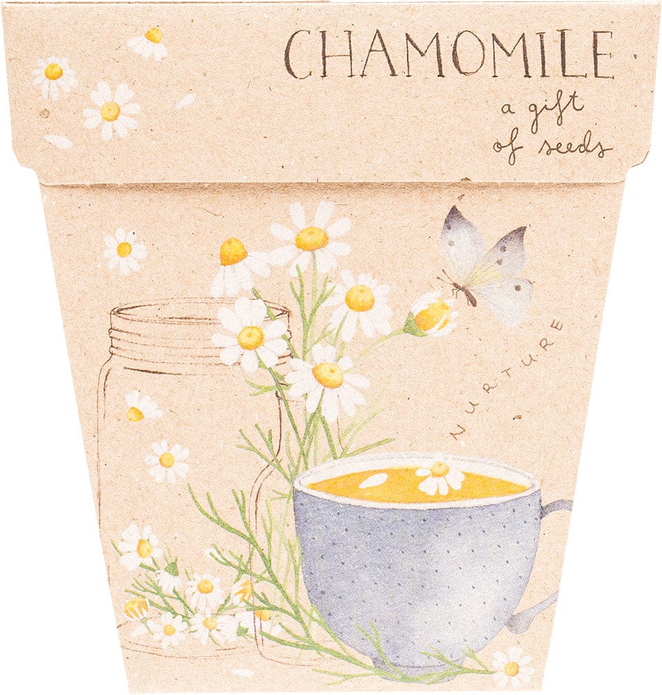 Sow n' Sow Gift of Seeds - Chamomile