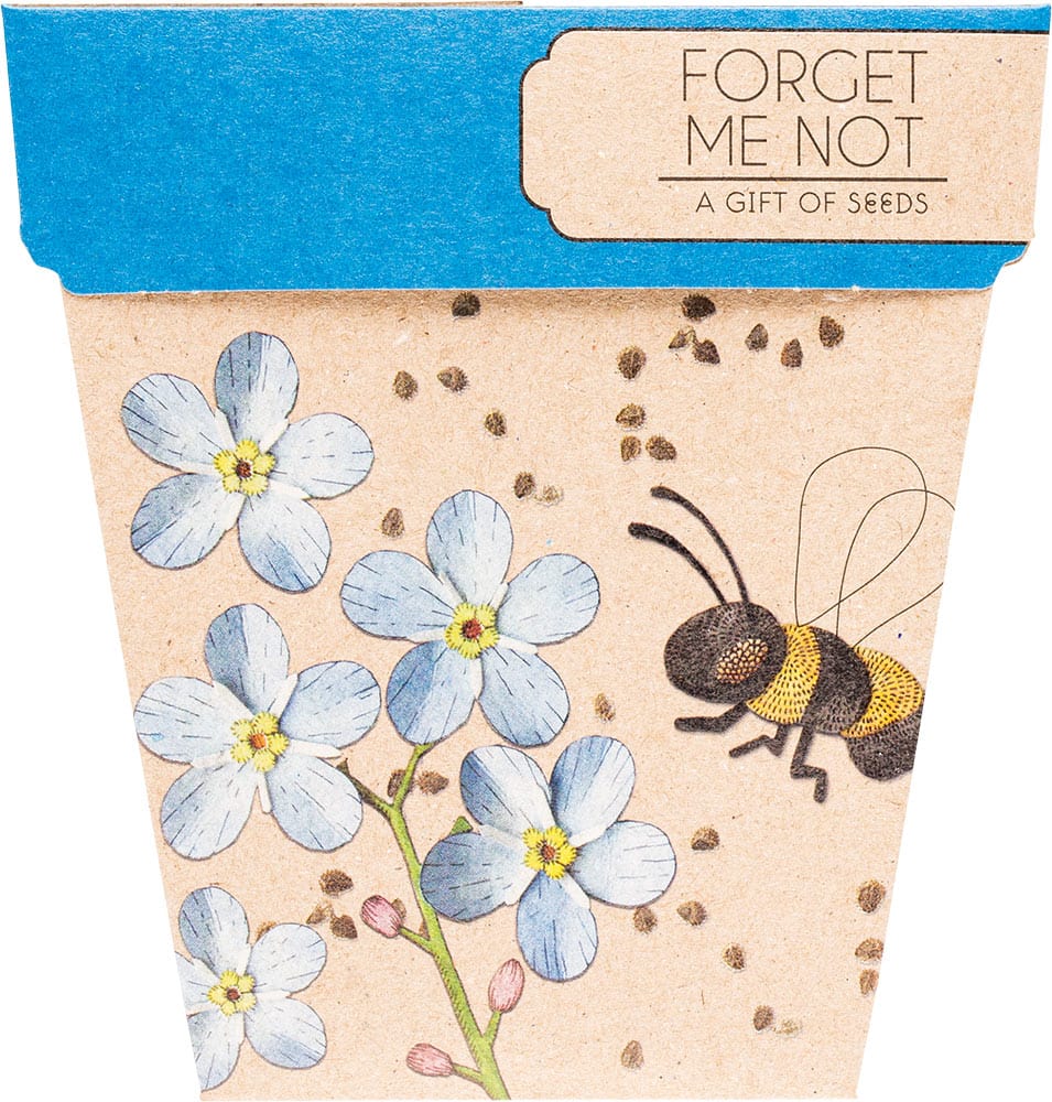 Sow n' Sow Gift of Seeds - Forget Me Not