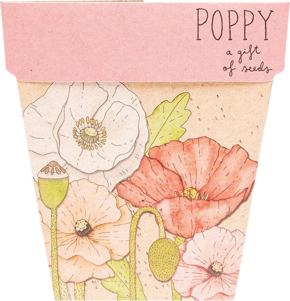 Sow n' Sow Gift of Seeds - Poppy