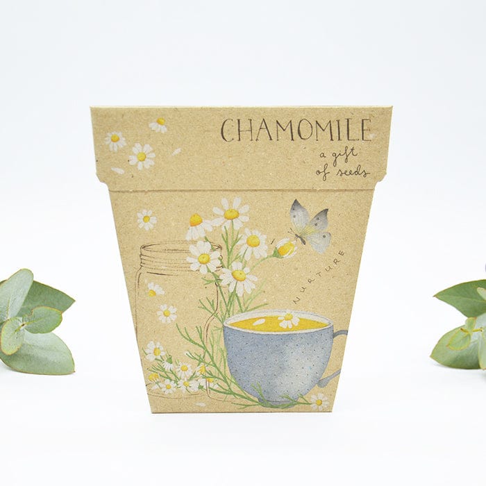 Sow n' Sow Gift of Seeds - Chamomile