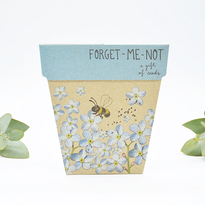 Sow n' Sow Gift of Seeds - Forget Me Not