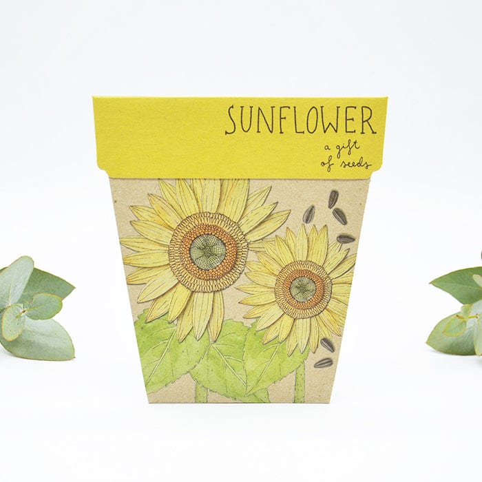 Sow n' Sow Gift of Seeds - Sunflower