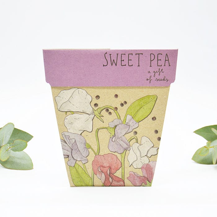 Sow n' Sow Gift of Seeds - Sweet Pea