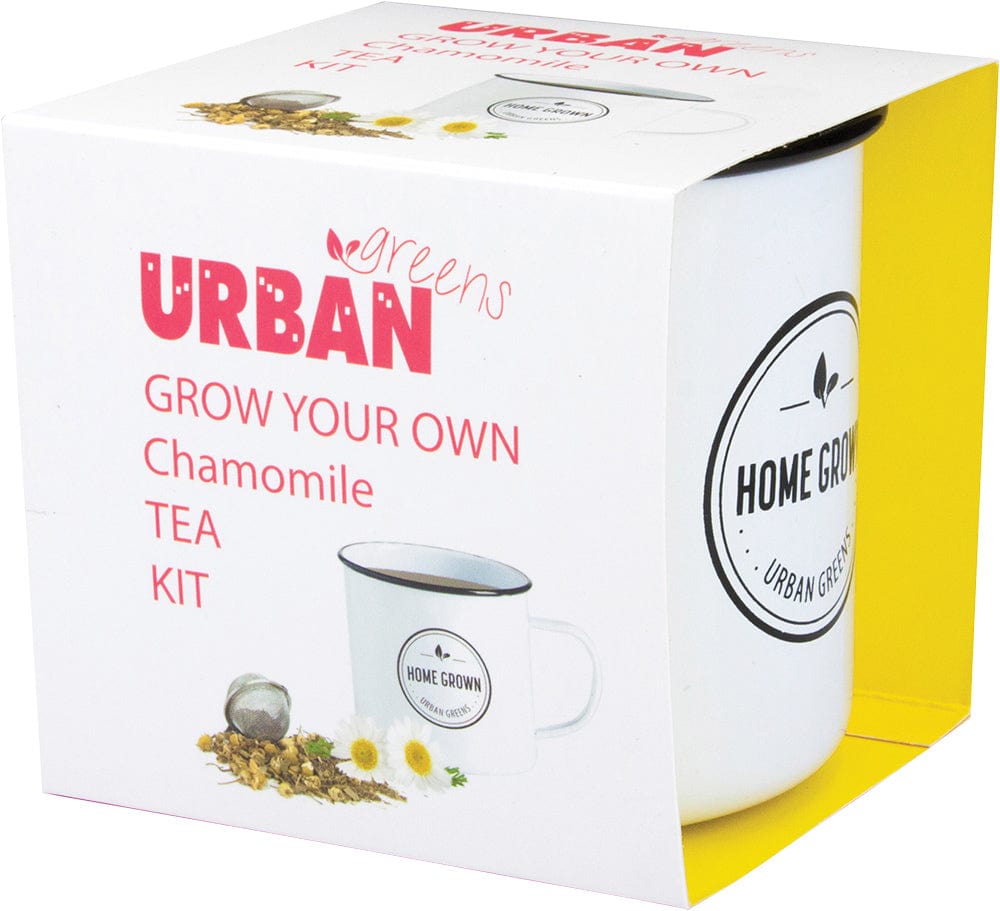 Urban Greens Grow your Own Tea Kit - Chamomile