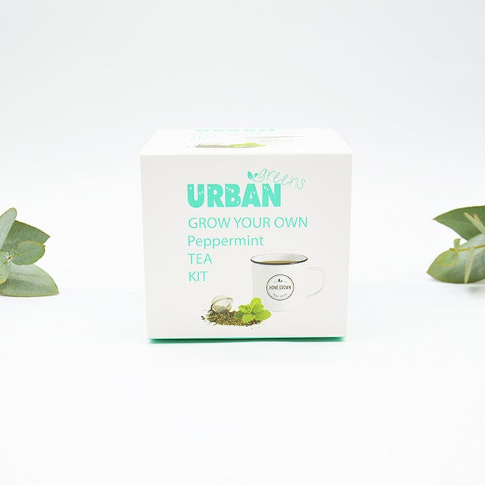 Urban Greens Grow your Own Tea Kit - Peppermint