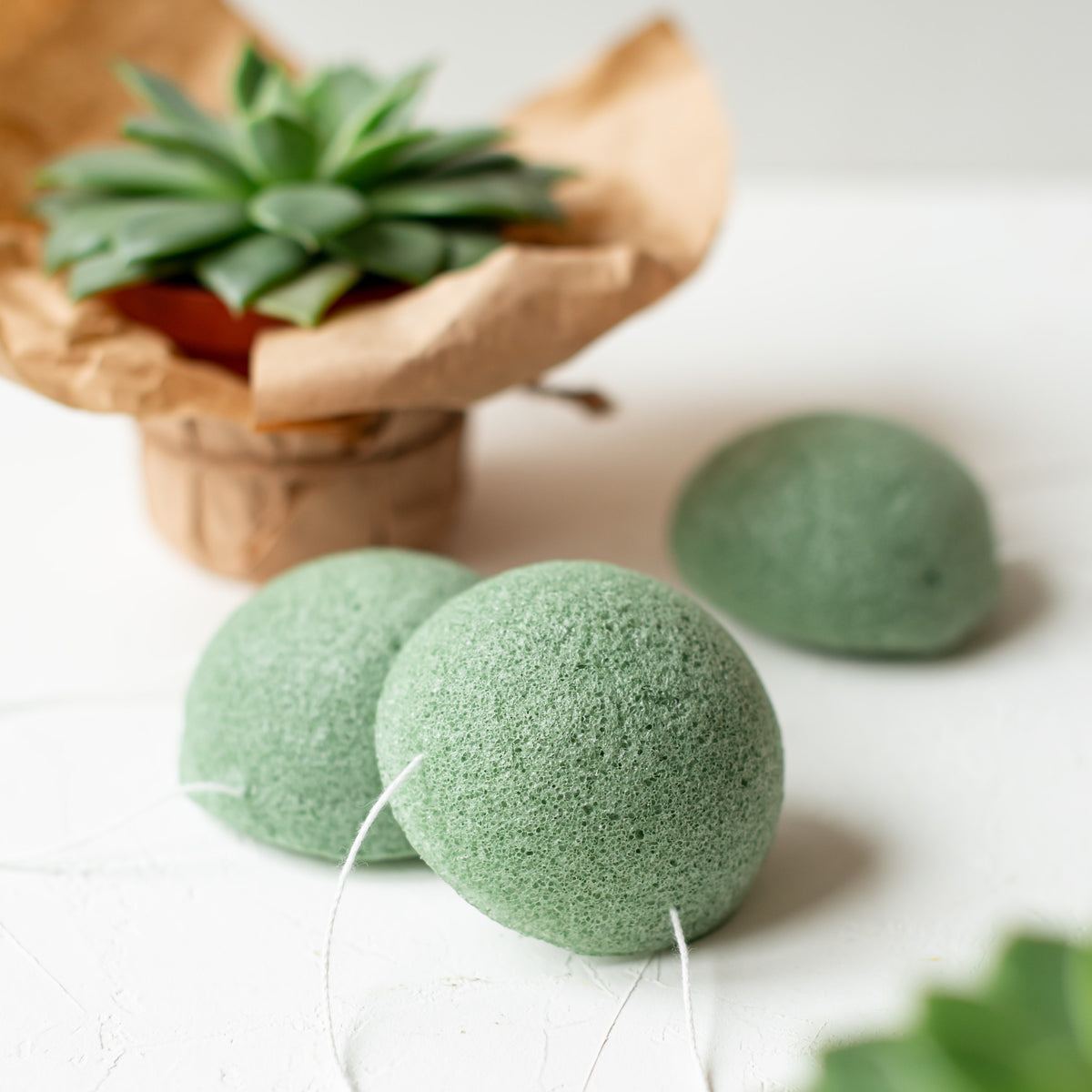 Konjac Sponges