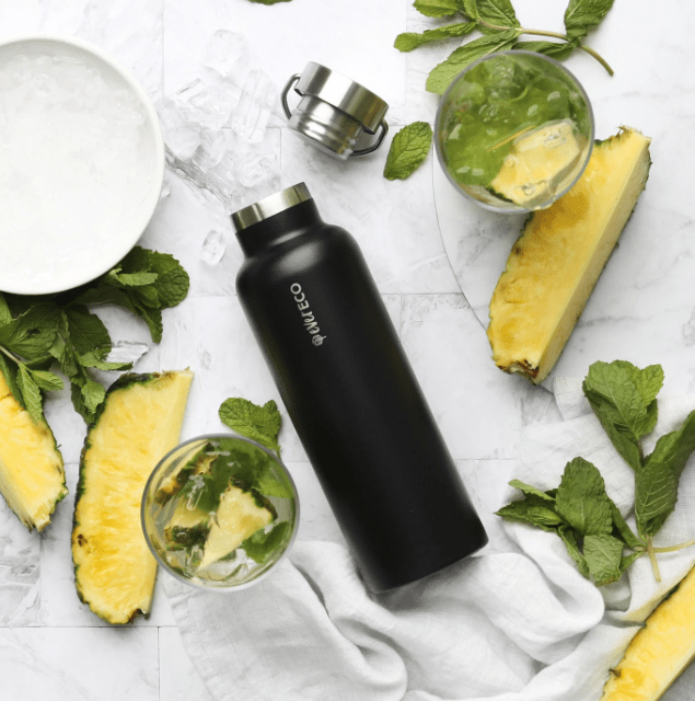 750ml Insulated Stainless Steel Water Bottle - Onyx Black