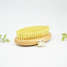 Natural Dry Body Brush with Sisal Bristles