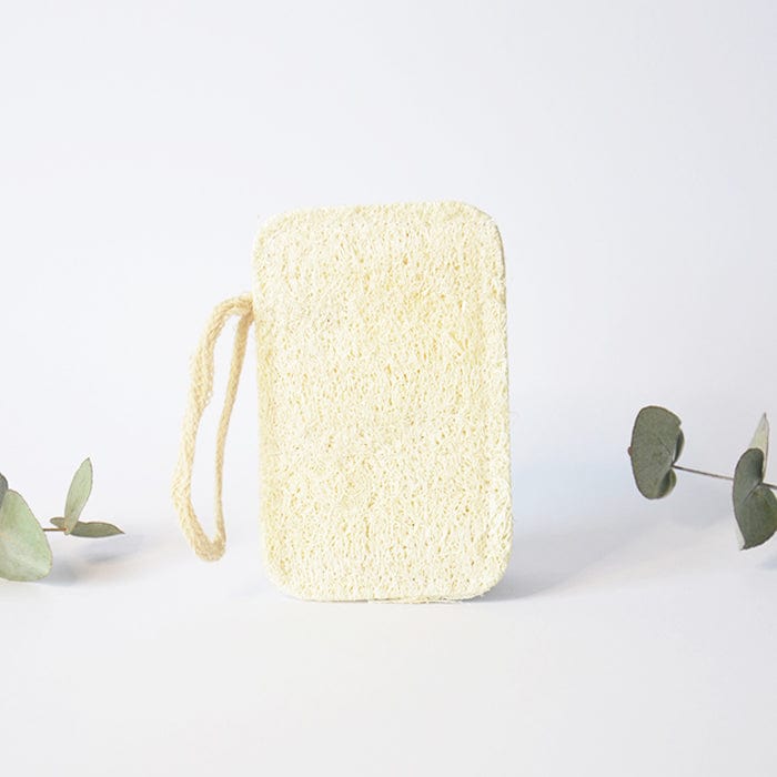 Compostable Kitchen Loofah Dish Sponge – BeEco