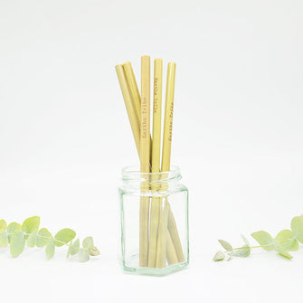 Reusable Bamboo Straw - Single