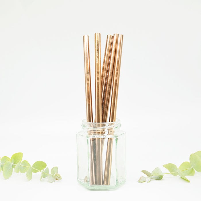 Reusable Stainless Steel Rose Gold Smoothie Straw - Single