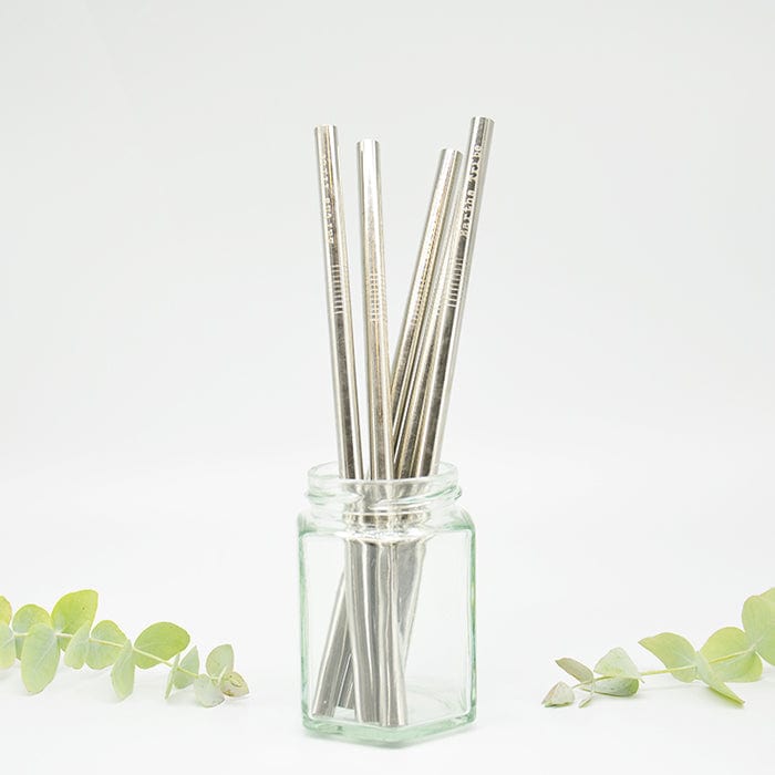 Reusable Stainless Steel Straight Smoothie Straw - Single