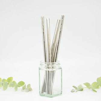 Reusable Stainless Steel Straight Smoothie Straw - Single