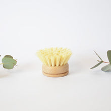Natural Sisal Fibre Brush - Replacement Head