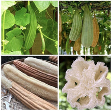 Compostable Kitchen Loofah Dish Sponge