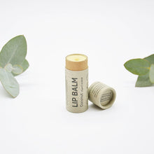 Noosa Basics Organic Lip Balm - Coconut 15g