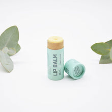 Noosa Basics Organic Lip Balm - Mint 15g