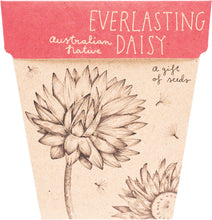 Sow n' Sow Gift of Seeds - Everlasting Daisy