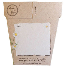 Sow n' Sow Gift of Seeds - Chamomile
