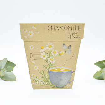Sow n' Sow Gift of Seeds - Chamomile