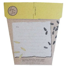Sow n' Sow Gift of Seeds - Sunflower