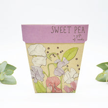 Sow n' Sow Gift of Seeds - Sweet Pea