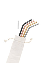 4 Pack Bent Stainless Steel Straws - Assorted Colours with Cleaning Brush + Bag