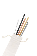 4 Pack Straight Stainless Steel Straws - Assorted Colours with Cleaning Brush + Bag
