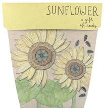 Sow n' Sow Gift of Seeds - Sunflower