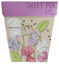 Sow n' Sow Gift of Seeds - Sweet Pea