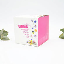 Urban Greens Grow Kit - Culinary Flowers