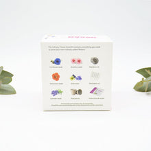 Urban Greens Grow Kit - Culinary Flowers