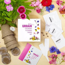 Urban Greens Grow Kit - Culinary Flowers