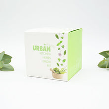Urban Greens Grow Kit - Kitchen Herbs
