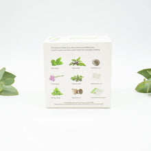 Urban Greens Grow Kit - Kitchen Herbs