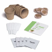 Urban Greens Grow Kit - Kitchen Herbs