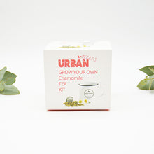 Urban Greens Grow your Own Tea Kit - Chamomile