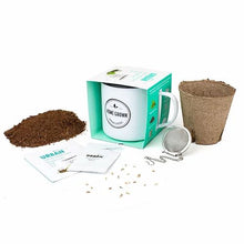Urban Greens Grow your Own Tea Kit - Peppermint