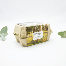 Toilet Cleaning Bombs - Carton of 12