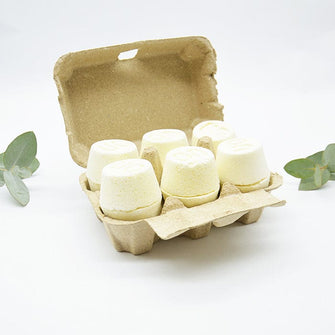 Toilet Cleaning Bombs - Carton of 12
